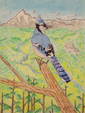 the lookout