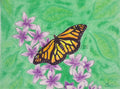Monarch