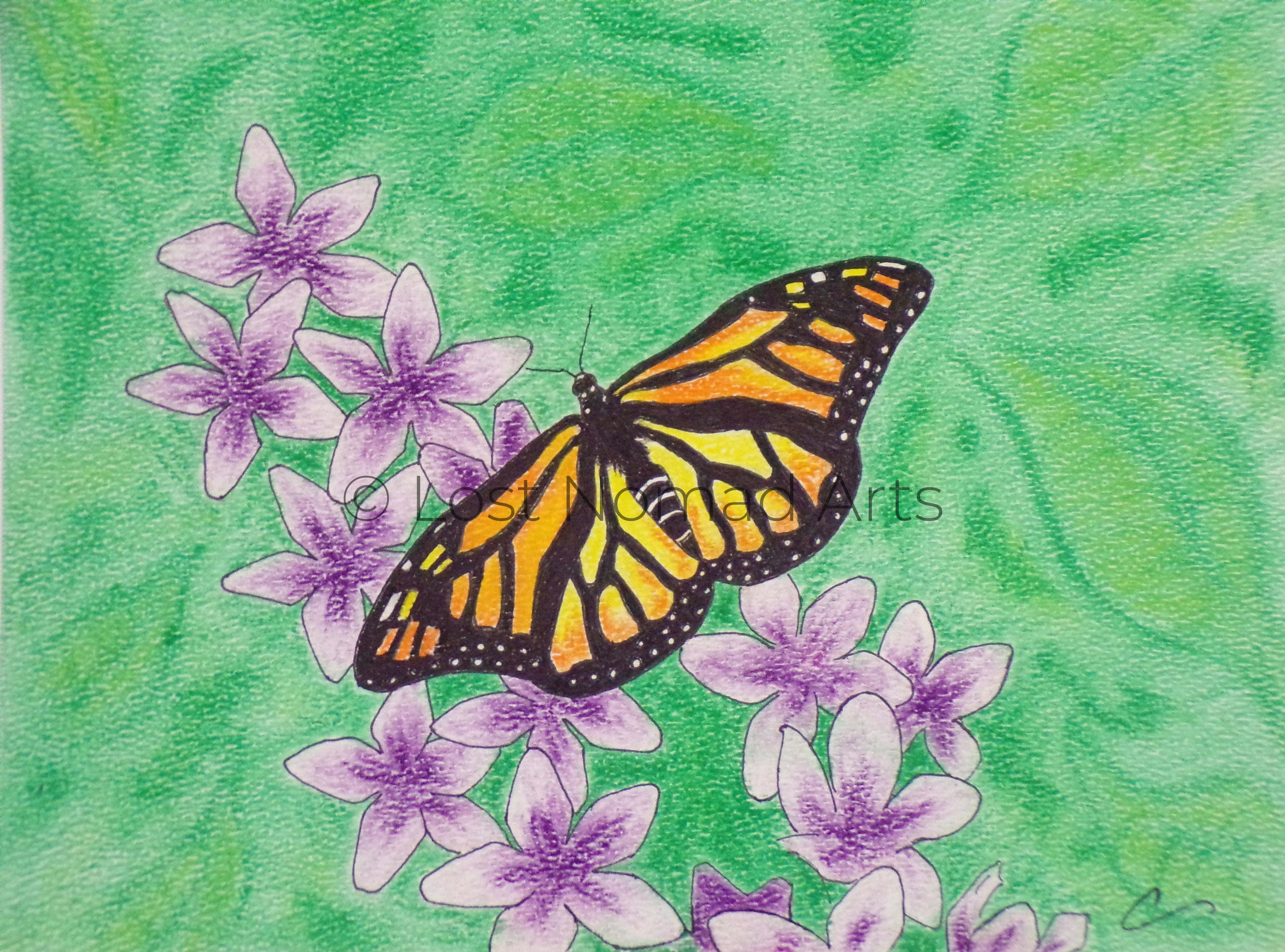 Monarch